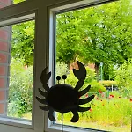 Apartment Unter Dem Reetdach Wustrow (Fischland)