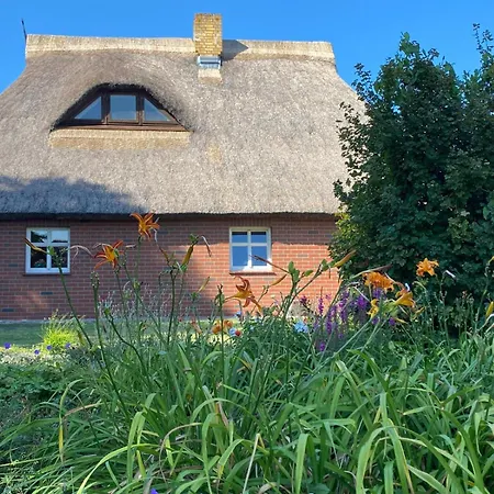 Апартаменты Unter Dem Reetdach *